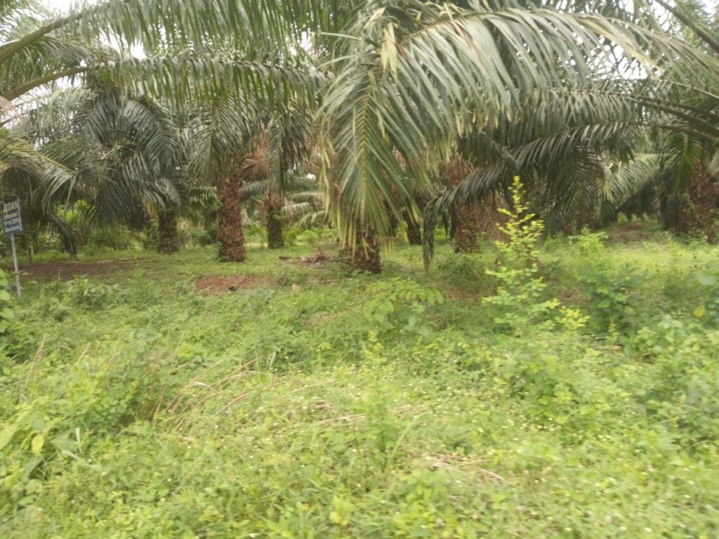 IMG_20221227_231211_695