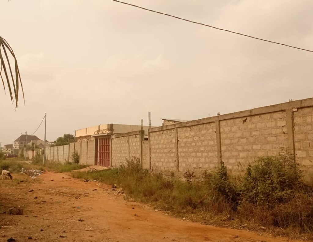 eb1229b8-e634-4d4c-8522-309339bef018