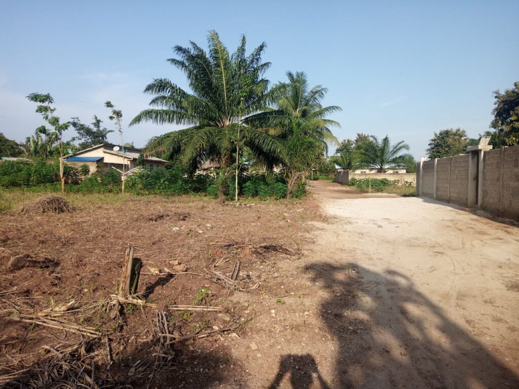 photo_5884006845520132176_y