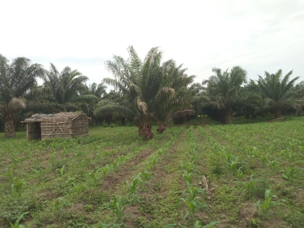 photo_6030798648624920832_y