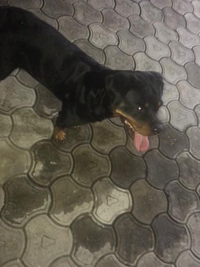 4737AEE7-568F-4FE4-96A3-C0E74B824639