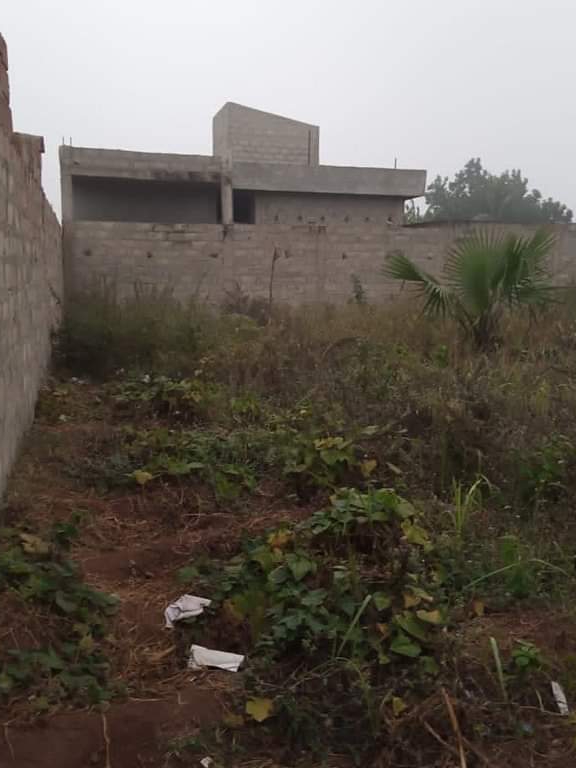 9c0e0d90-01df-4fbf-86dd-acfffeabf669