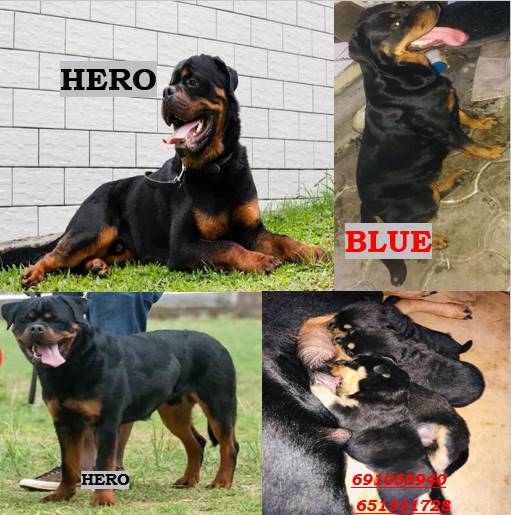 C9F07258-D855-4C12-9A83-472E1A7591F5