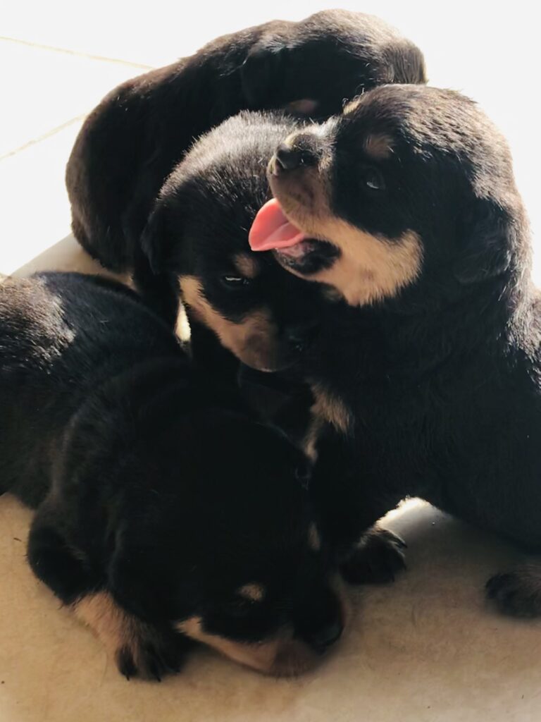 F4088C60-F357-4CA1-A6F5-A5DF4500B8C5