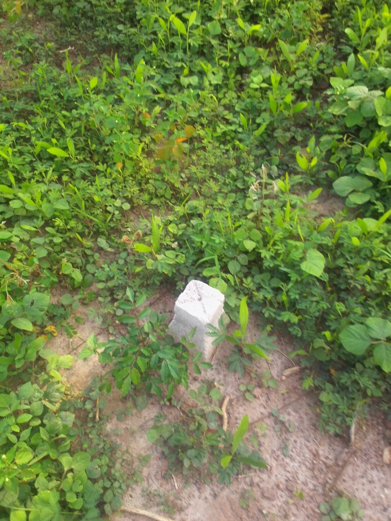 IMG_20220613_1602461-1