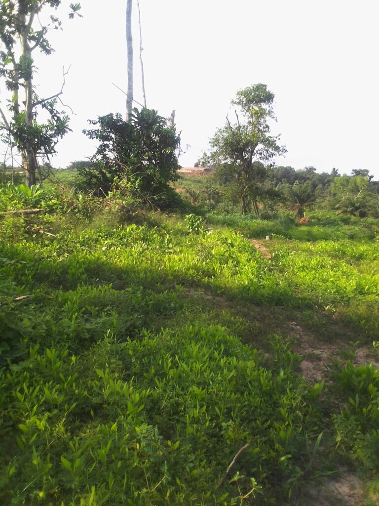 IMG_20220613_1602571