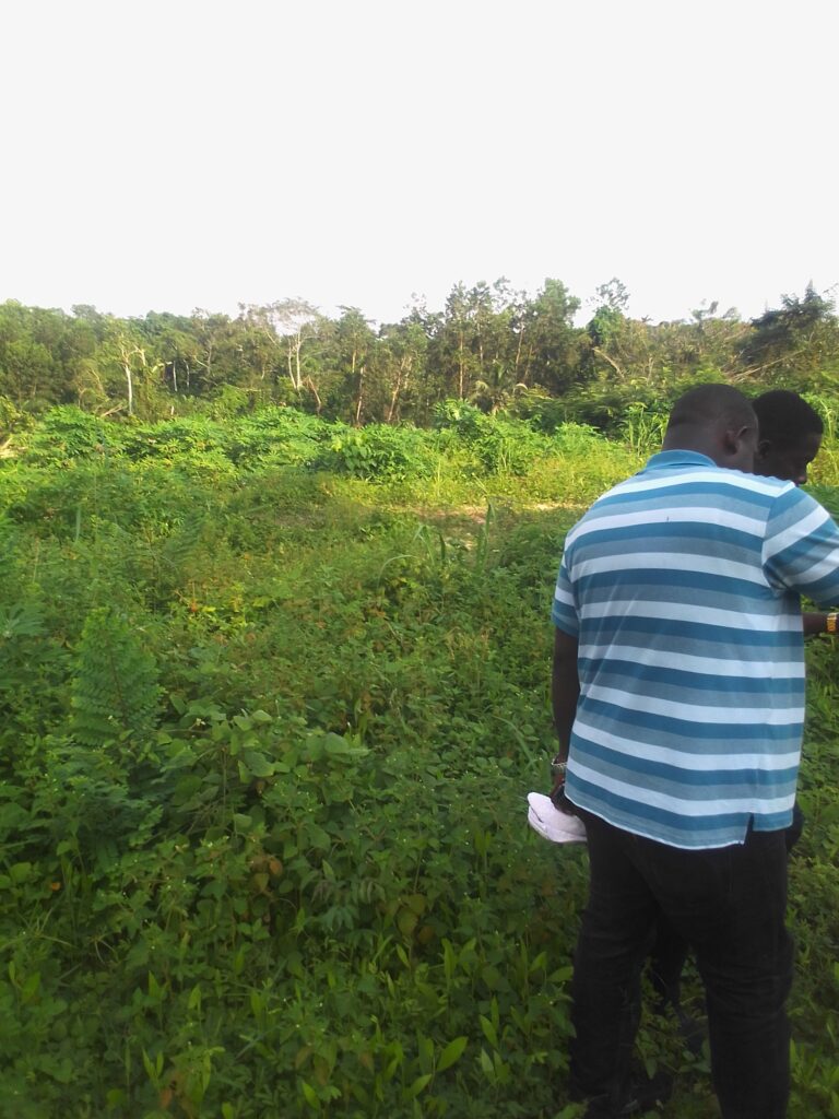 IMG_20220613_1603001