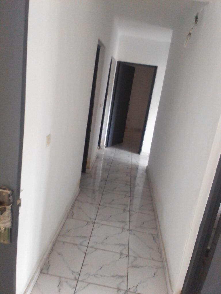 IMG_20221006_1030031