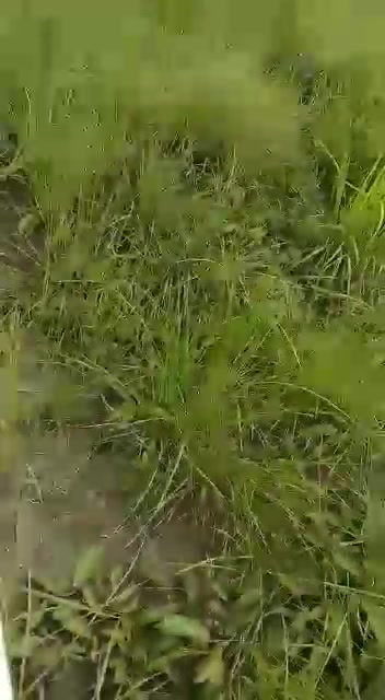 320311909_2240946339407352_7250975400929733274_n