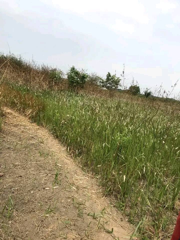 320934298_1273786956803462_8275002762859111114_n