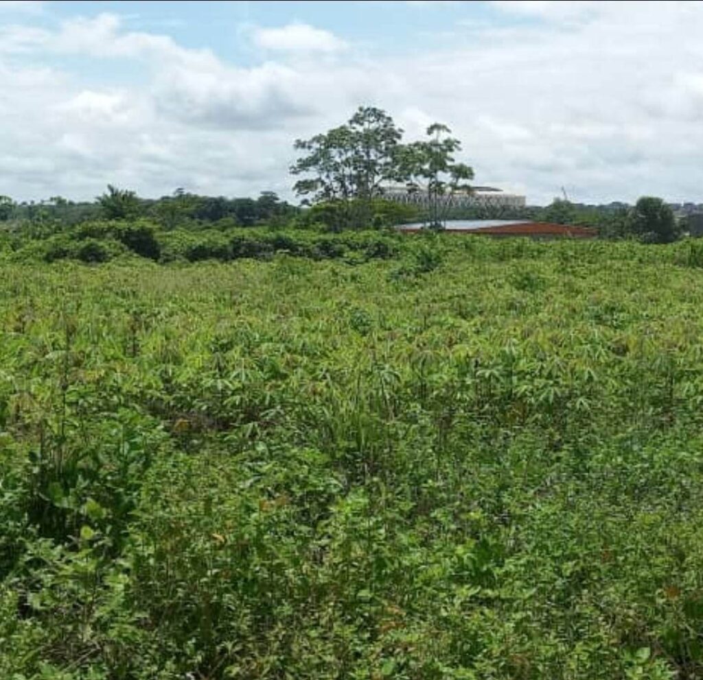 336880647_237468502022791_8819738284123901190_n