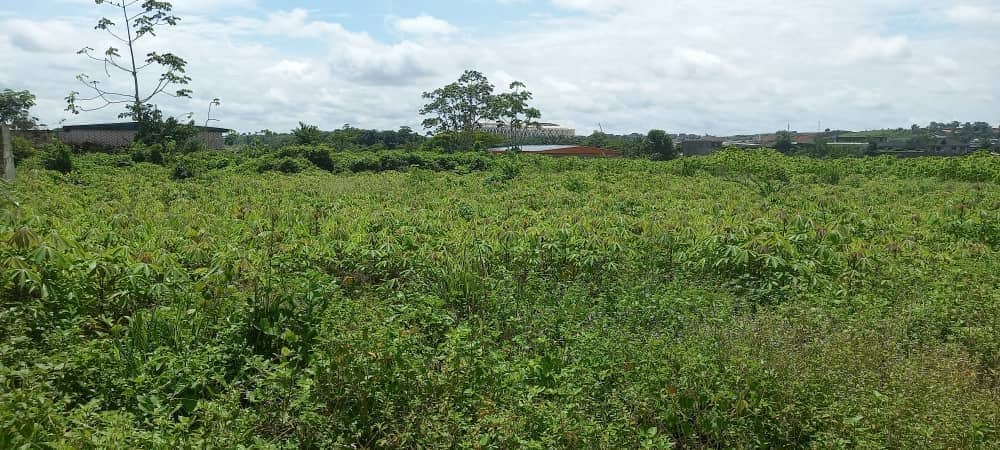 TERRAIN-STADE-OLYMPIQUE-003