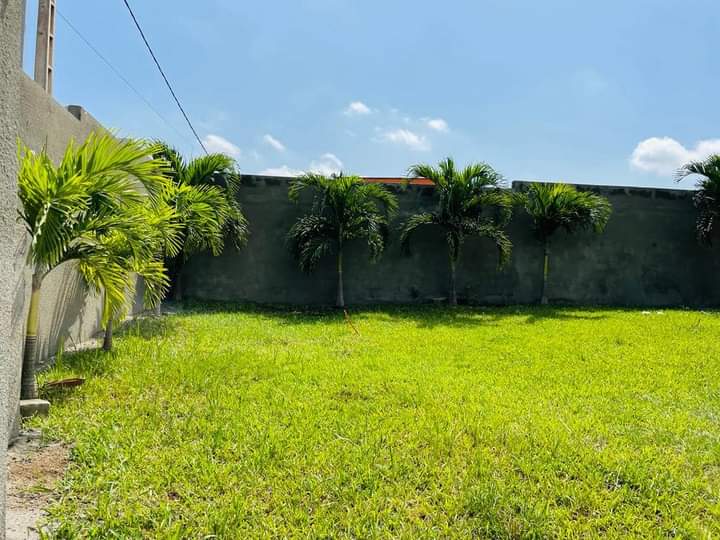 WhatsApp-Image-2023-03-29-at-14.20.54-1