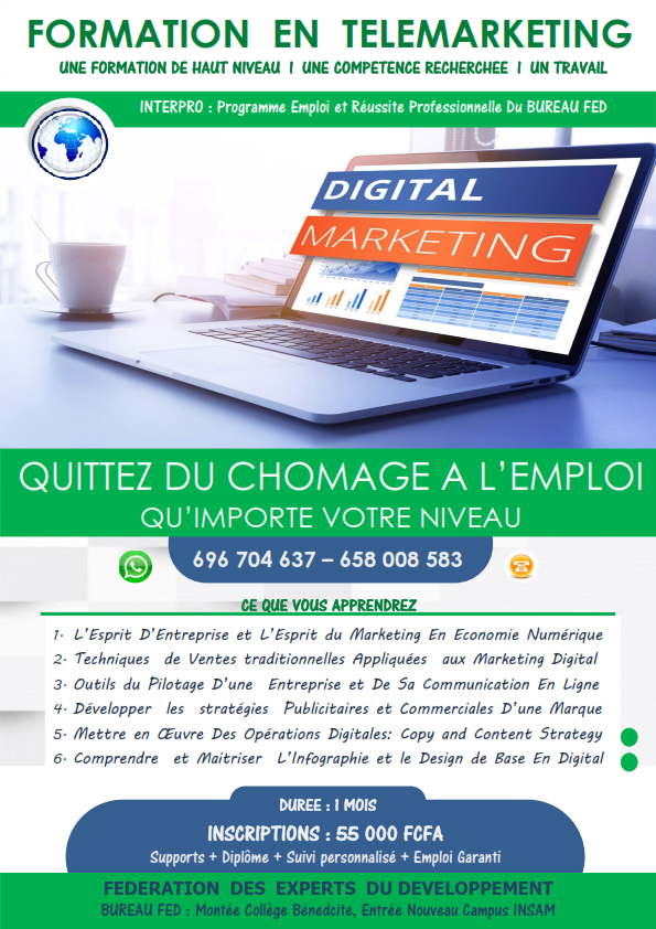 formation-emploi-en-marketing-digital_001