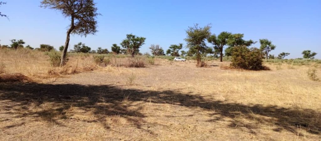terrain-de-1200-m2-a-malicounda-2