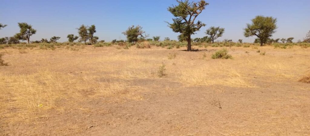 terrain-de-1200-m2-a-malicounda-3