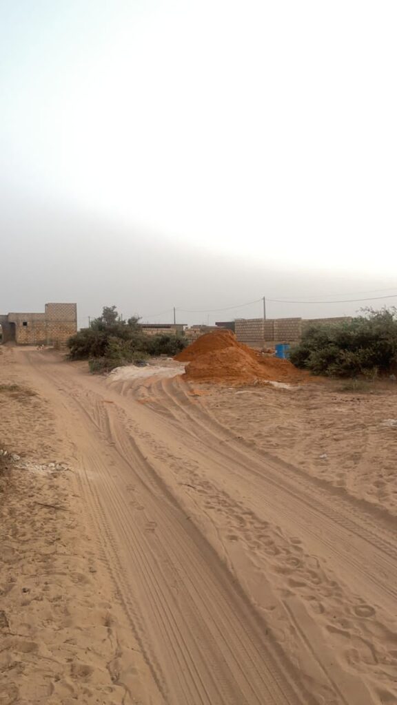 terrain-de-300-m2-a-malicounda-3