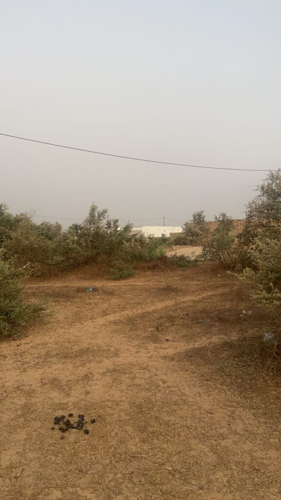 terrain-de-300-m2-a-malicounda-4