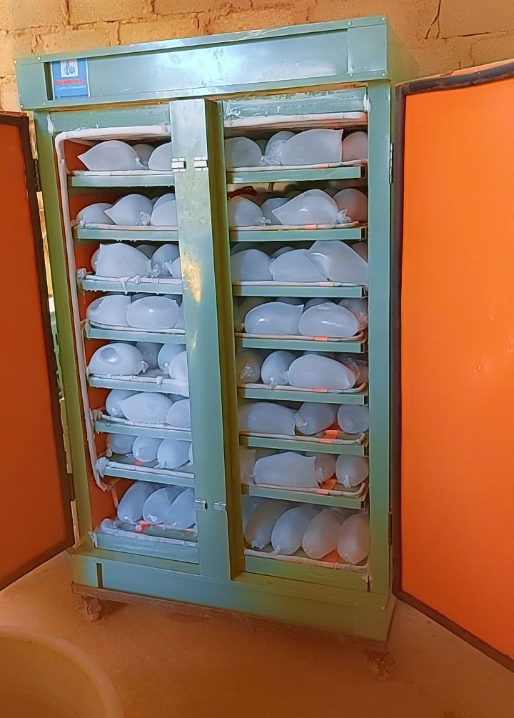 0b1f7b2f-35bb-43d8-829a-e2027cdddb82