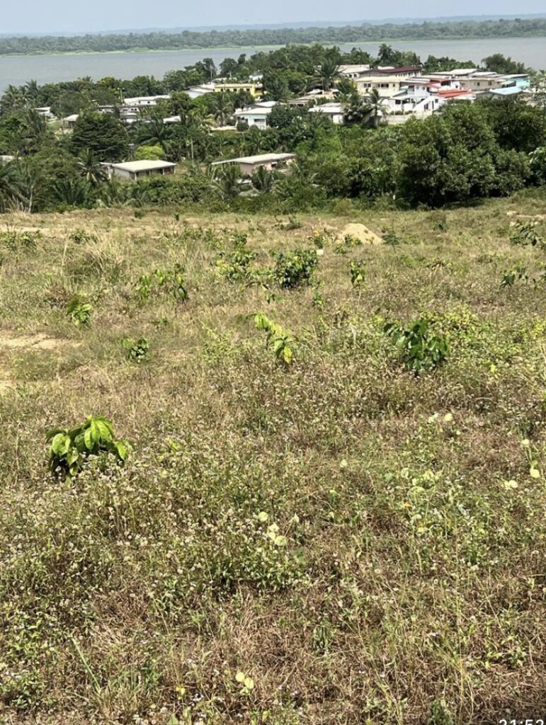 DDD0EF2D-FC38-45F8-A56E-A8C6CDDBCBAD