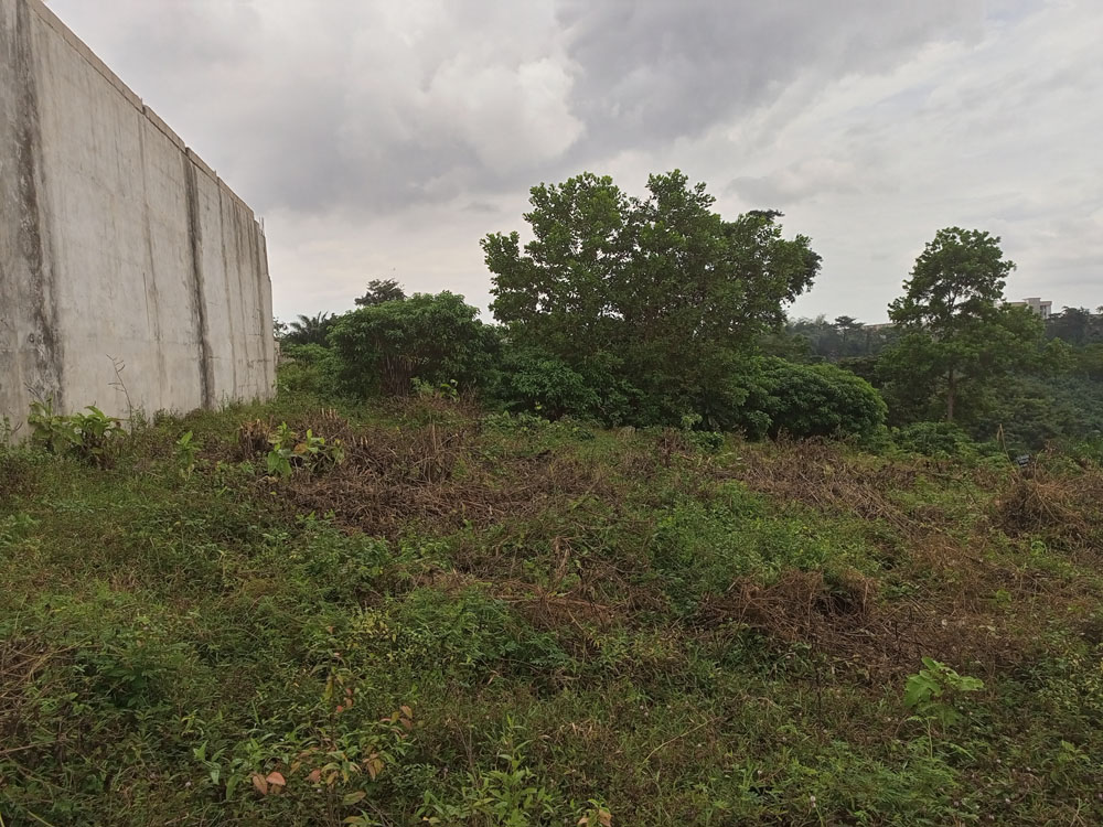 IMG_20220926_131447_443-1