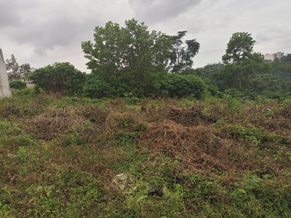 IMG_20220926_131525_249-1