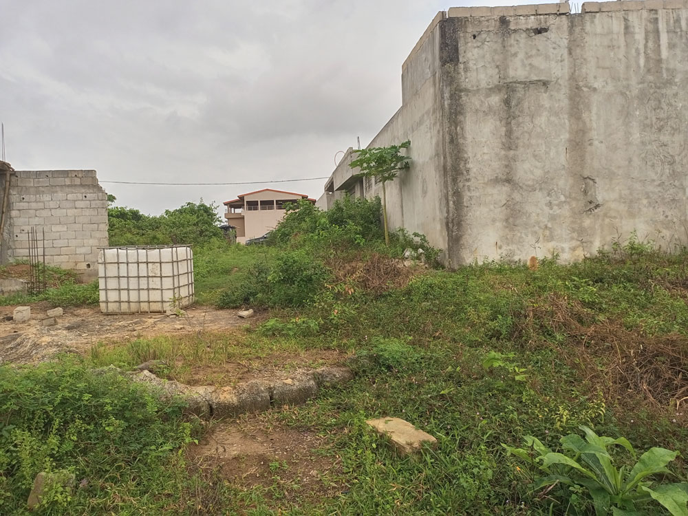 IMG_20220926_131605_286-1