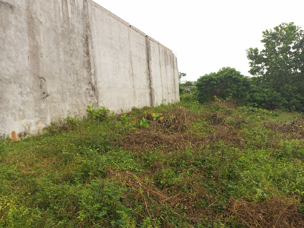 IMG_20220926_131634_576-1