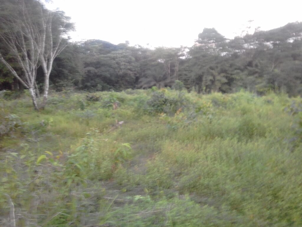 IMG_20221223_1817261