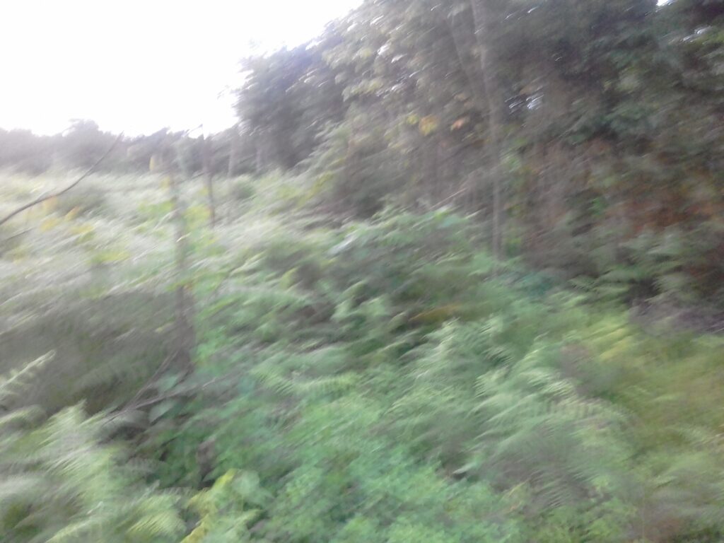 IMG_20221223_1817301