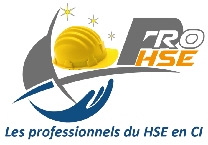 Logo-Pro-HSE-2-01