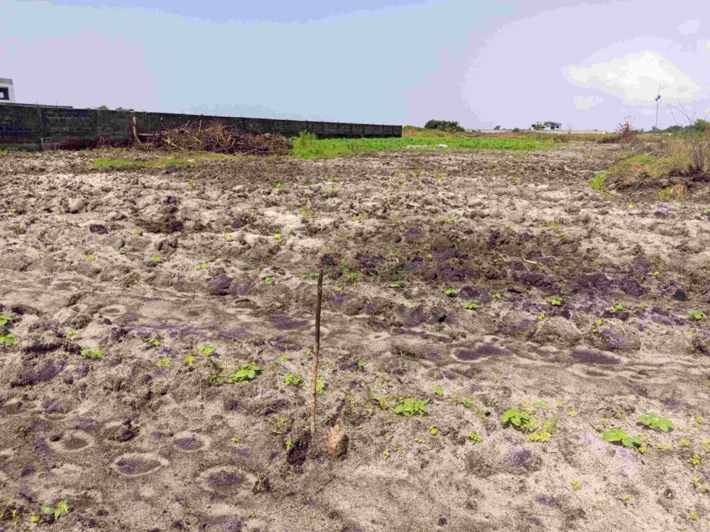 TERRAIN-729-M²-ANANI-17-compressed