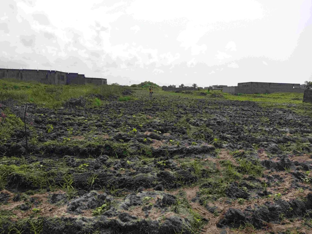 TERRAIN-729-M²-ANANI-9-compressed