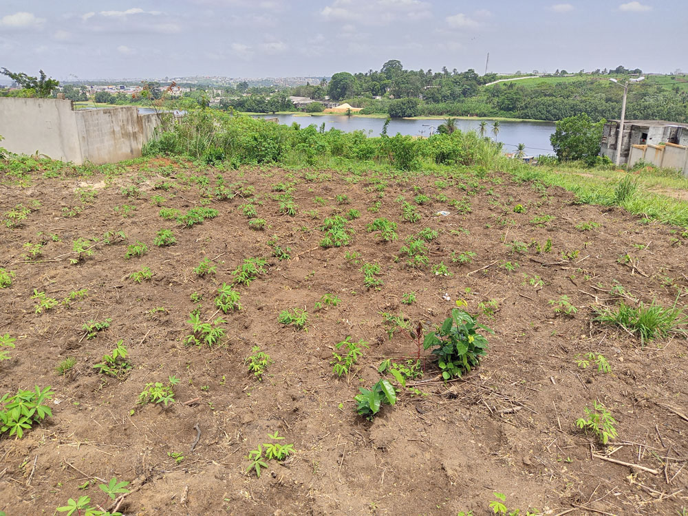 TERRAIN485-M²-BINGERVILLE-ANAN-1-2