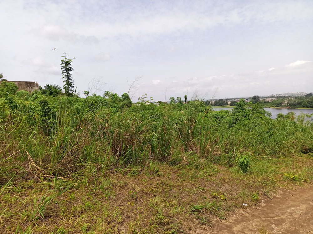 TERRAIN485-M²-BINGERVILLE-ANAN-14-1