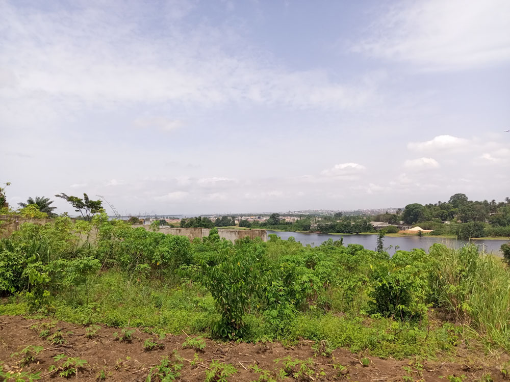 TERRAIN485-M²-BINGERVILLE-ANAN-27-1