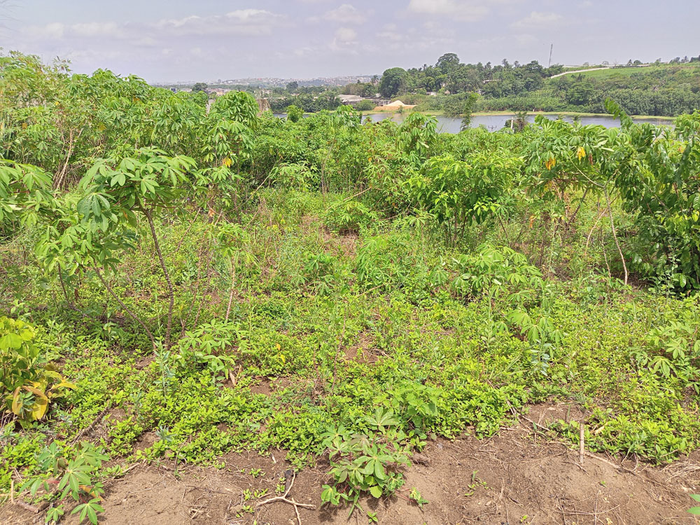 TERRAIN485-M²-BINGERVILLE-ANAN-3-3