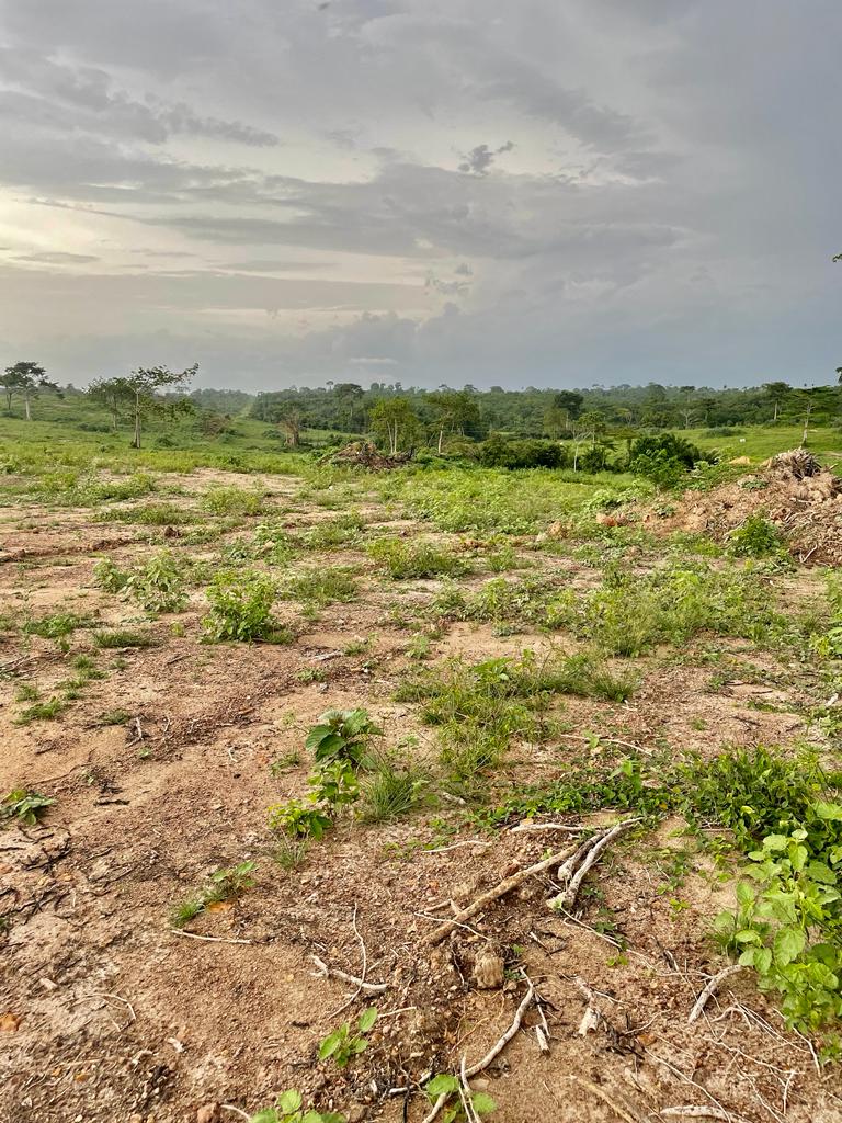 WhatsApp-Image-2023-05-29-at-11.43.16-4