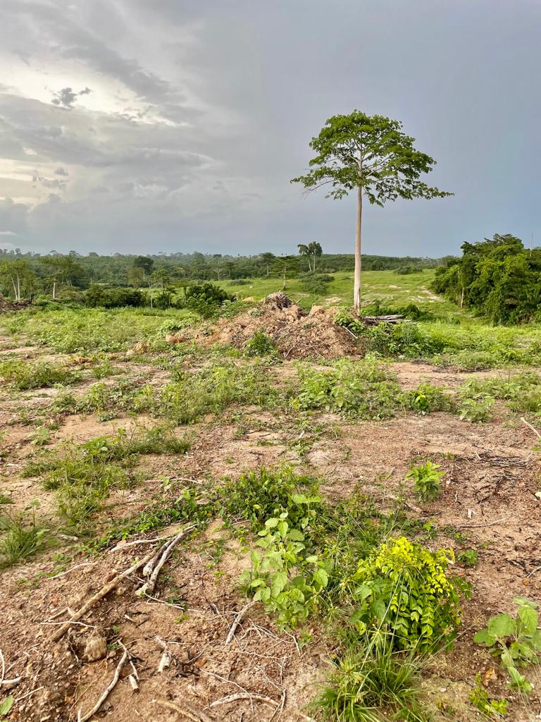 WhatsApp-Image-2023-05-29-at-11.43.16-5