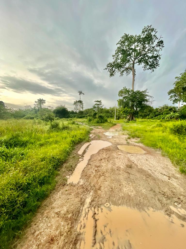 WhatsApp-Image-2023-05-29-at-11.46.211