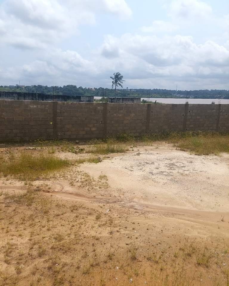 1ba7cd73-7610-4f8e-adcf-5291cfdef074-1