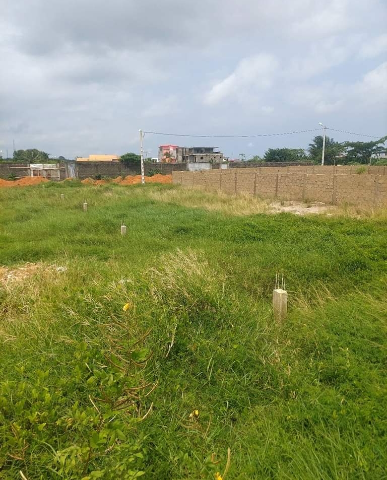 4ea204a3-8703-4e8e-b97c-d7ca40beef46-1