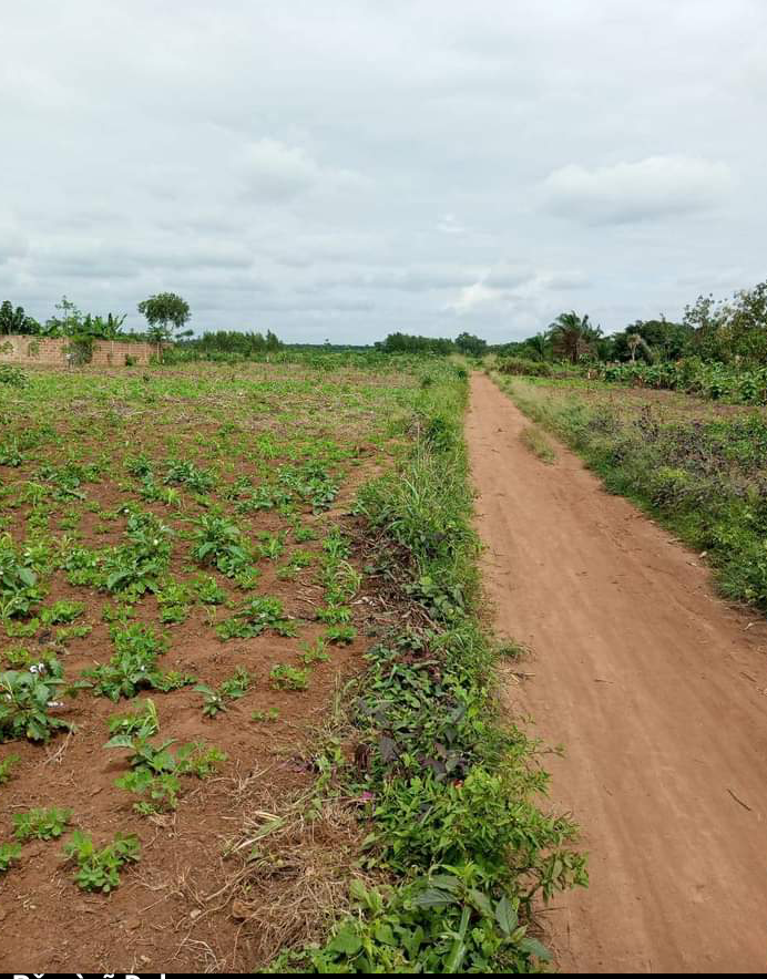 891f237b-aa48-4cd3-9d06-378ac05f4542