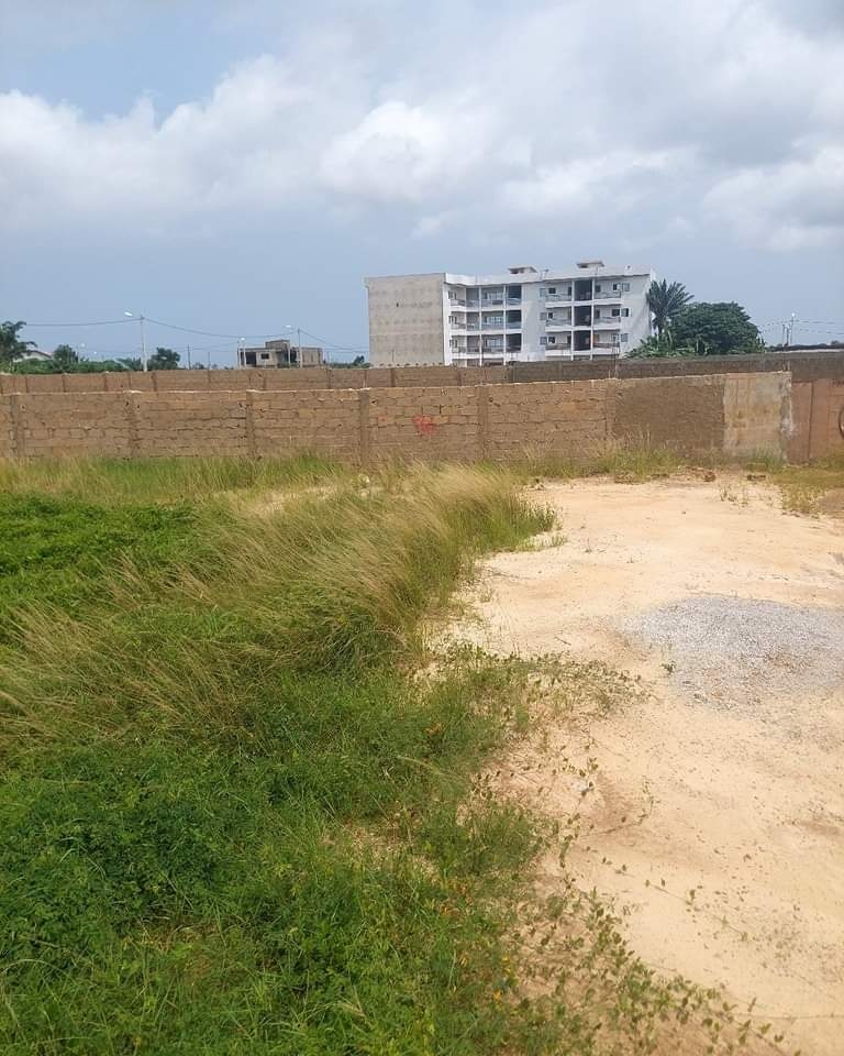 a04815d5-cb14-43bb-88ab-925c6913cb62-1