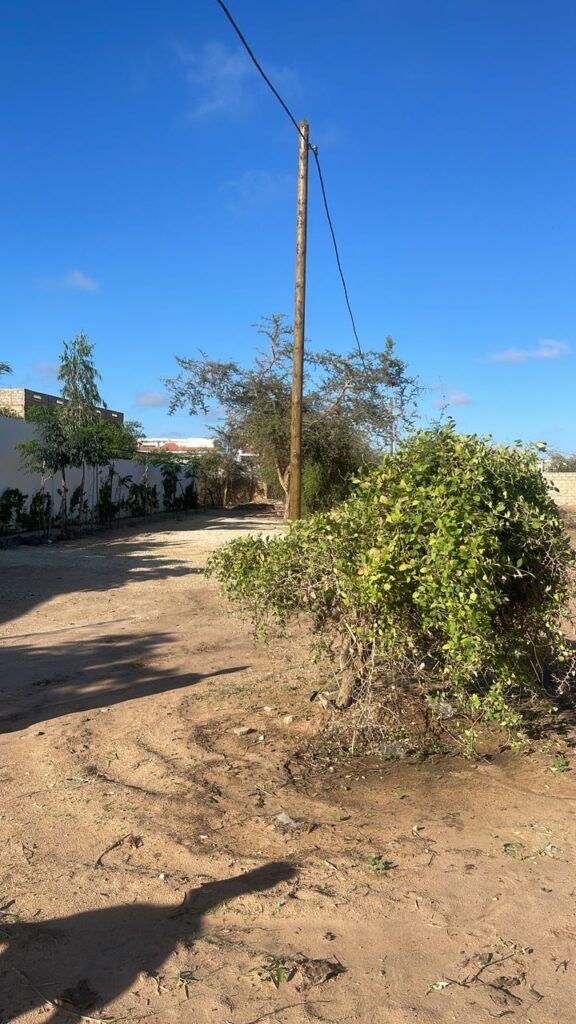 terrain-de-600-m2-a-saly-golf-1-bail-sapco