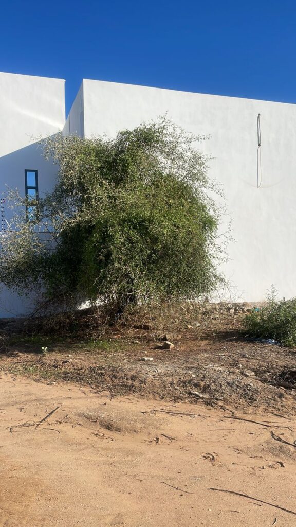 terrain-de-600-m2-a-saly-golf-2-bail-sapco