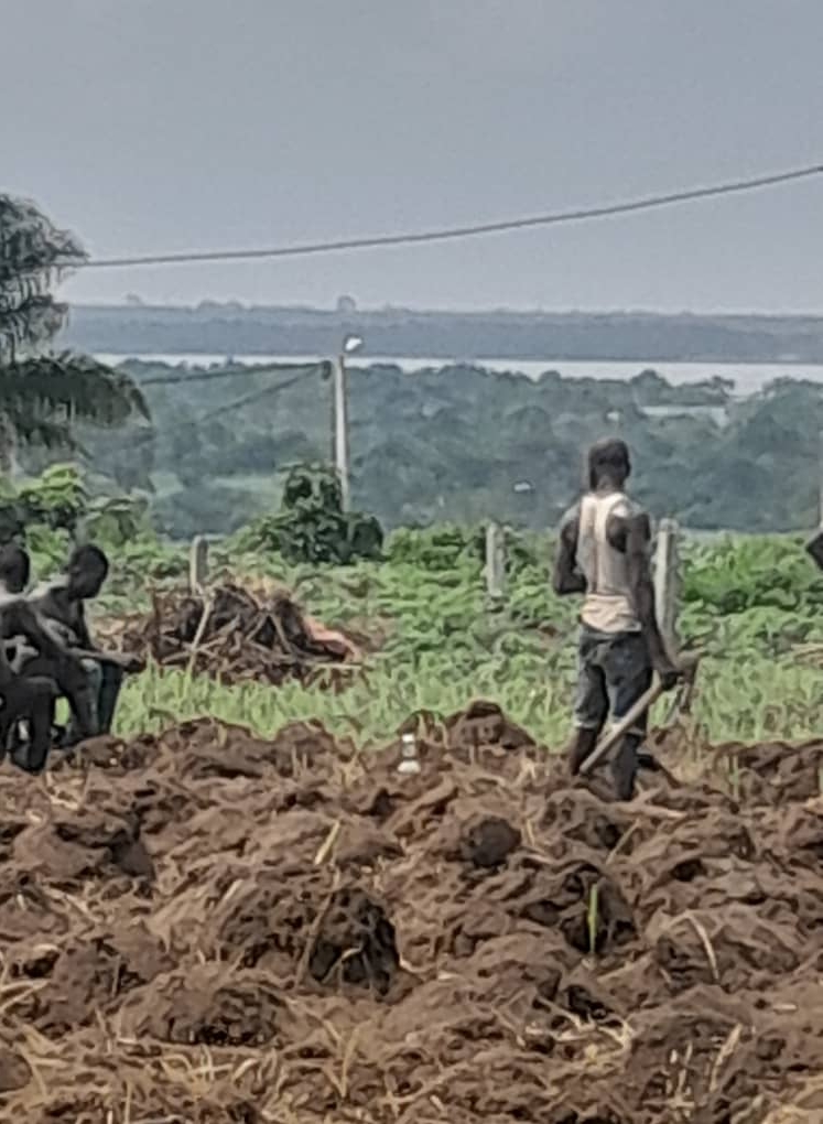 667f7ee9-b48d-47e6-bc31-e490c5b9f15c