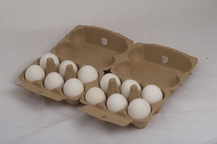 6×6-egg-carton
