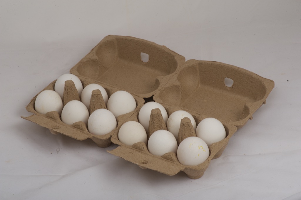 6×6-egg-carton