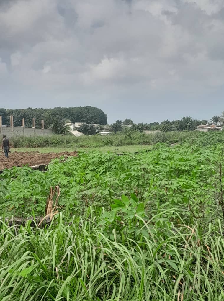 7d0064cc-e0ef-4ab5-85fa-0f3580c3f3d4